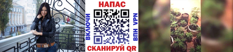 Бошки Шишки индика  ссылка на мегу зеркало  Ступино 